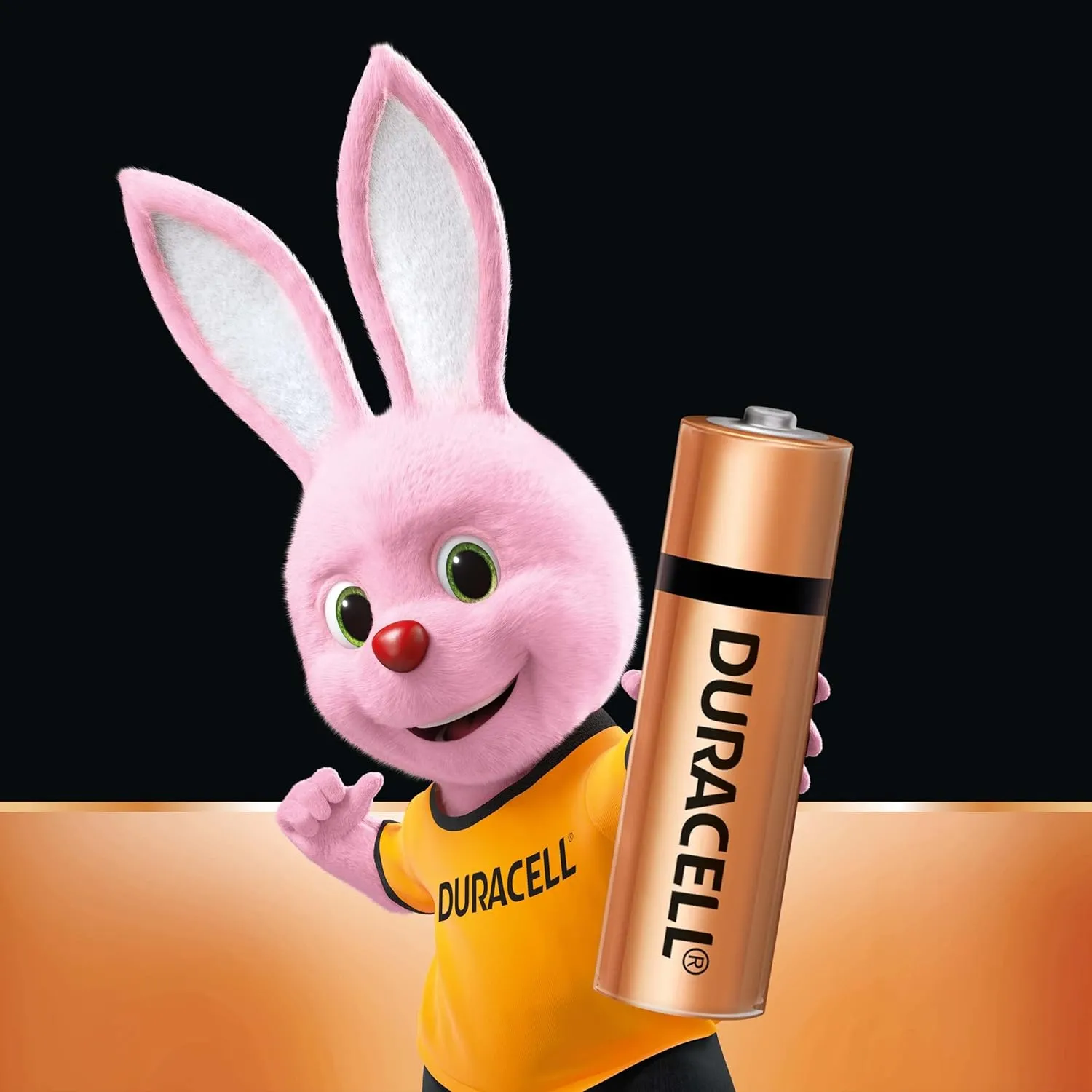 AAA Duracell Alkaline Batteries (Pack of 1)