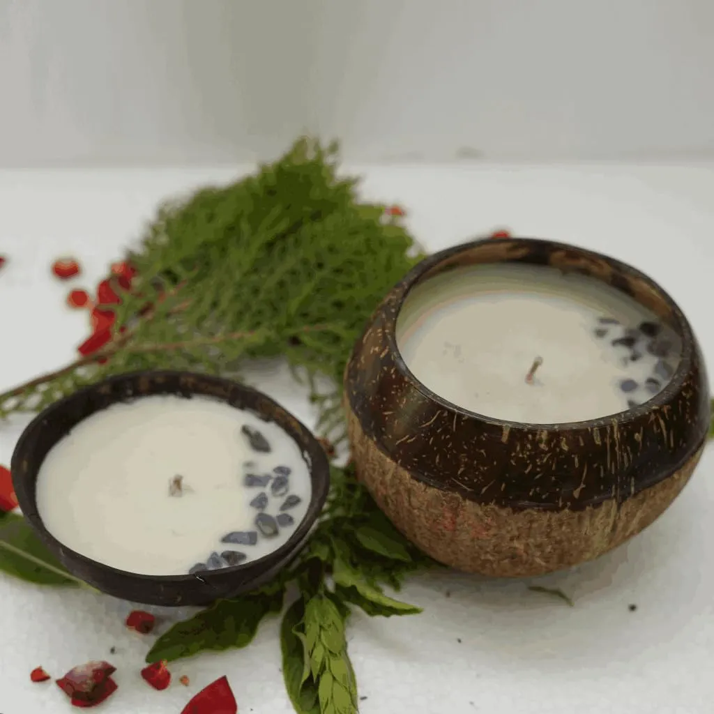 Beetroots Eco-Friendly Coconut Shell Candle Naturally Scented Candles Pure Natural Coconut Candle, Coconut Scented Candles (Pack of 2,1 Big,1 Small)