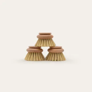 Dish Brush Head Replacement | 3pk Regular