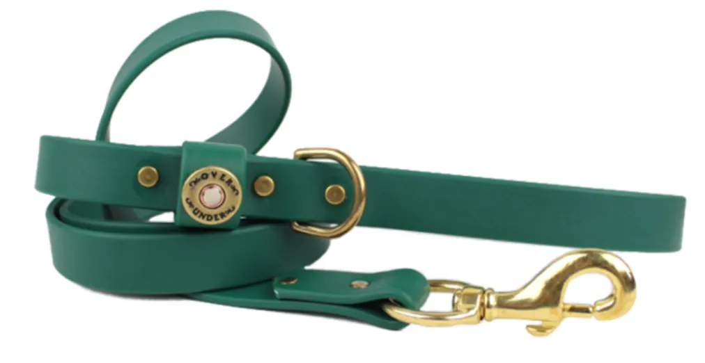 Over Under Water Dog Leash - Alpine Green