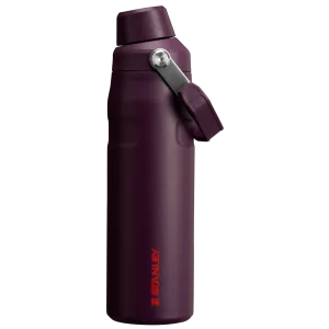 Stanley The IceFlow Fast Flow Bottle 24 oz